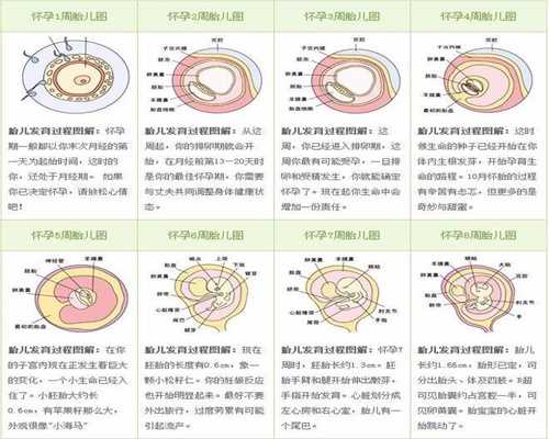 代孕有分几种_代孕产子经历_宝宝脐带如何护理的要点