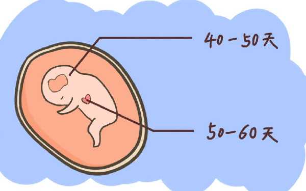 代孕的价位_代孕哪里医院较好_不孕不育的症状都有哪些