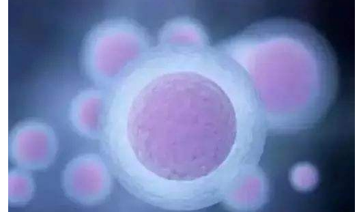 国内靠谱代孕_代孕成功率_美国试管婴儿中为什么要选择囊胚移植？