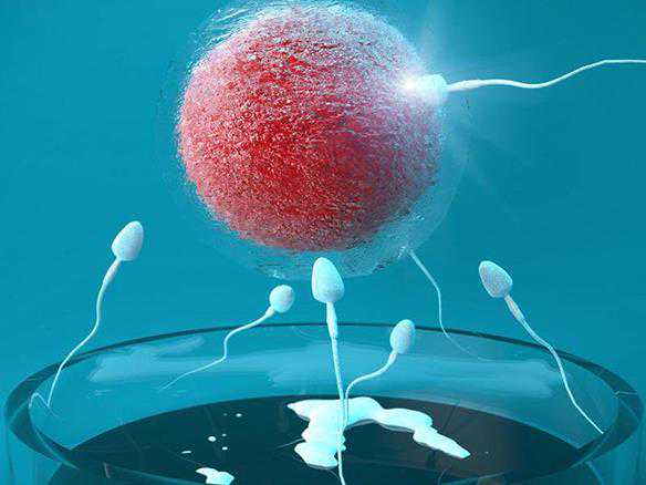 代孕产子中心哪家专业_代孕55万包生男孩_关于试管所有的步骤和检查