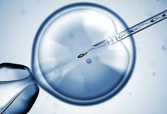 试管供卵代孕_哪里有找个人代孕_二代试管如何筛选精子
