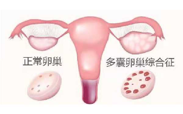 武汉找助孕有哪些风险 022武汉正规的供卵助孕机构名单,3家武汉最出名试管医院