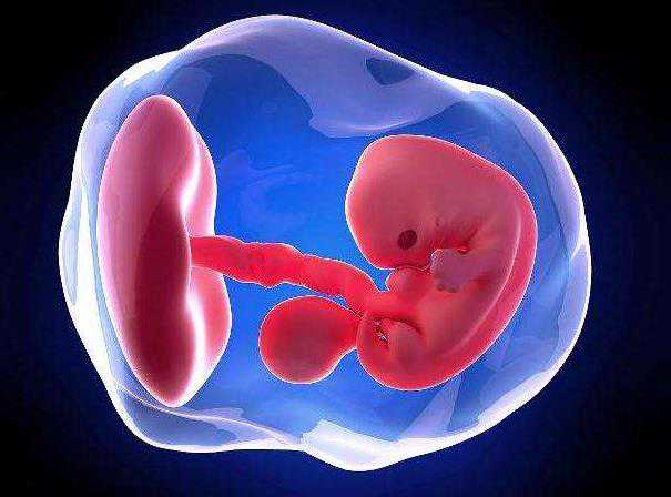 代孕在哪个国家是合法的_有代孕的女人_胚胎移植后注意事项？北京哪做试管婴
