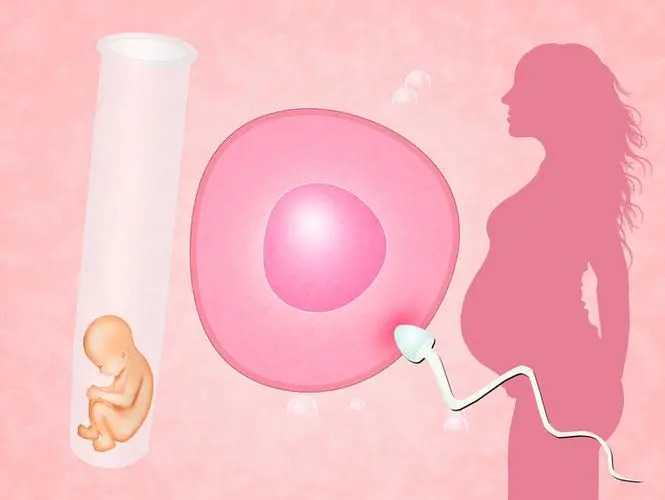 代孕试管可以龙凤胎吗_哪些人适合做代孕_对于神秘的试管婴儿技术，你知道多