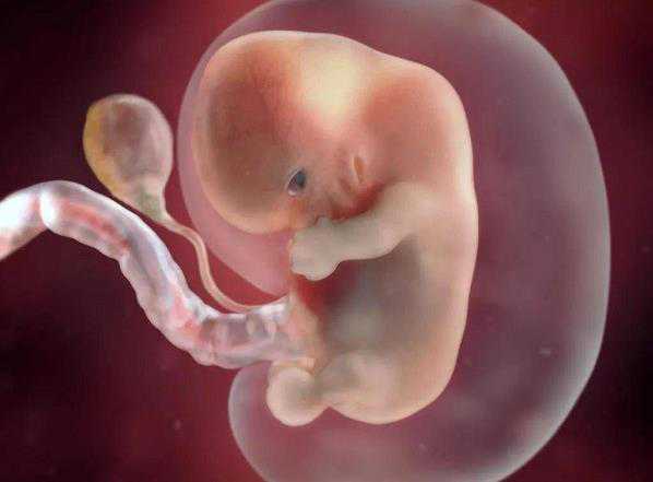海口985捐卵 2022海口供卵助孕机构排名全新发布 ‘孕妇怀男孩胎动特征’