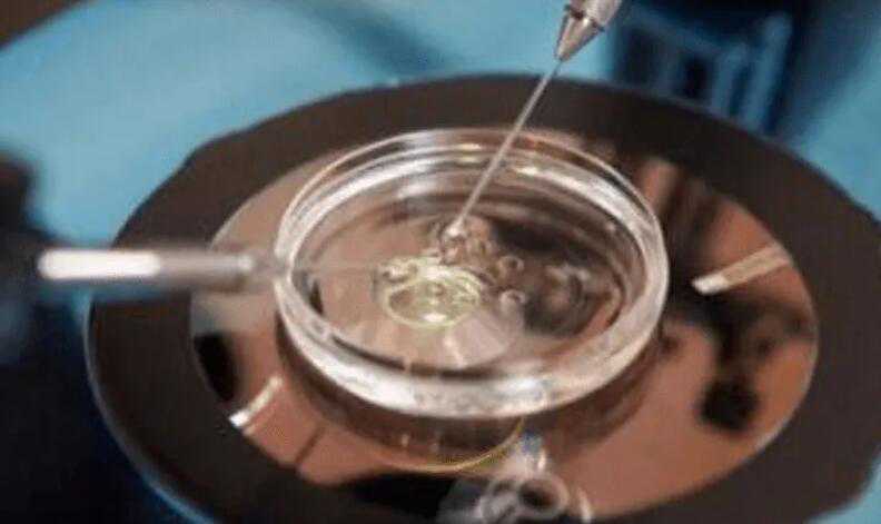 在哈尔滨能供卵的医院有哪家 2022哈尔滨市生殖医院名单大全-附供卵试管助孕指
