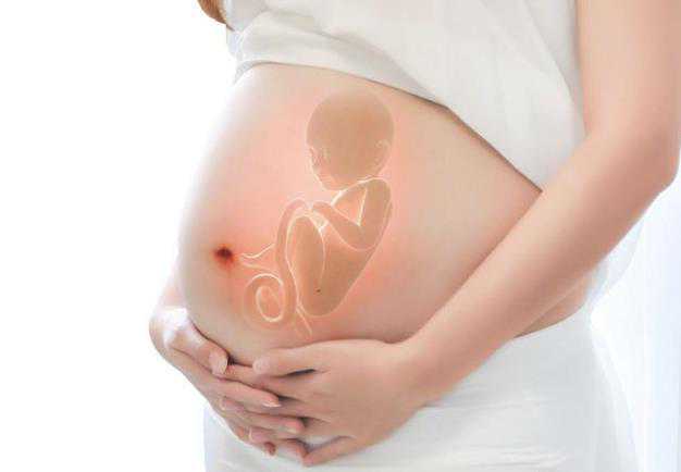 哪家代孕信誉最好_代孕什么时候能合法_泰国试管婴儿孕前注意事项有什么？