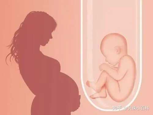 有谁做过供卵试管代怀的人|2023上海三代试管借卵代怀生男孩单周费用明细一览