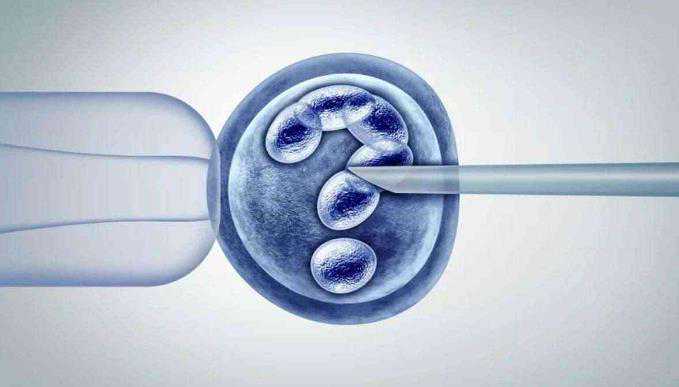 试管代怀前期检查流程是什么|重庆冻卵的医院有哪些,2023重庆三代试管借卵代怀